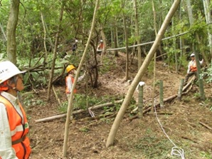 竹林作業1