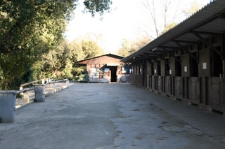 site du Centre Equestre de Villeneuve-Loubet