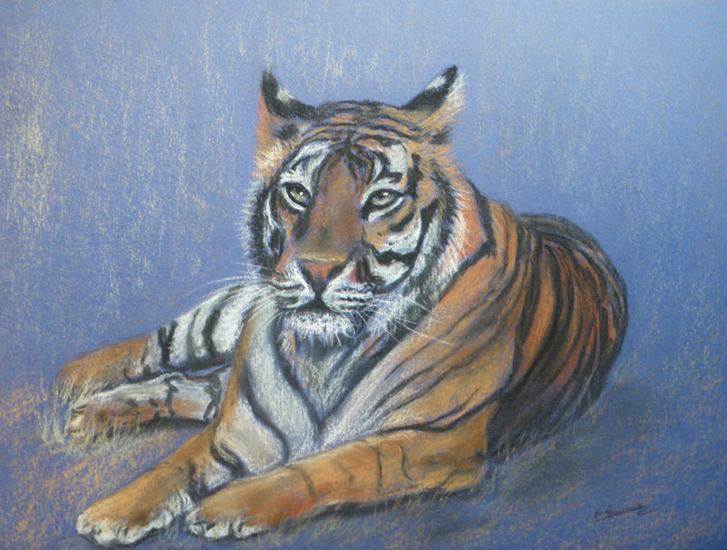 « Tigre au repos2 » : Pastel - format 24x32 cm