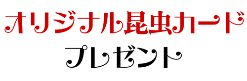 オリジナル昆虫カードプレゼント