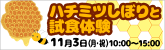ハチミツしぼりと試食体験