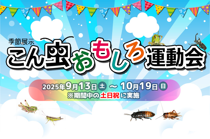 こん虫おもしろ運動会