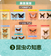 昆虫の知恵