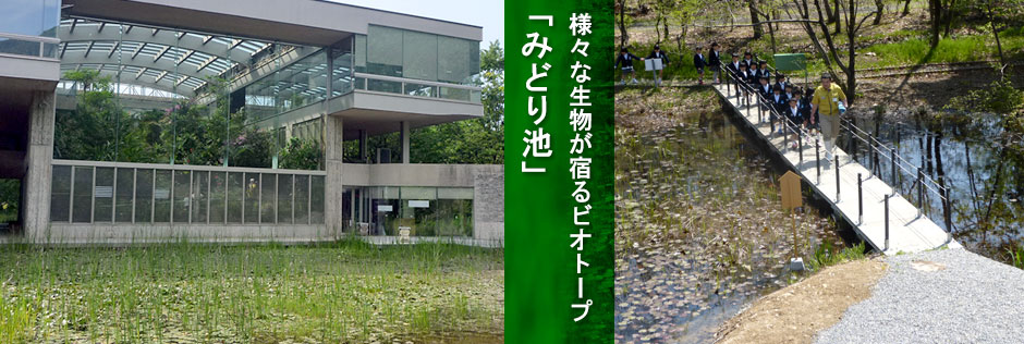 石川県白山市にある昆虫博物館 石川県ふれあい昆虫館