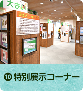 特別展示コーナー