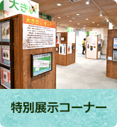 特別展示コーナー