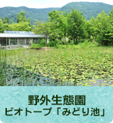 野外生態園～ビオトープ「みどり池」