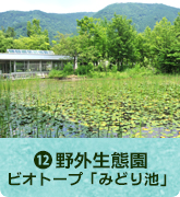 野外生態園～ビオトープ「みどり池」