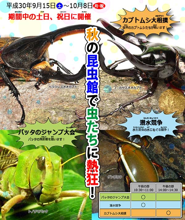 こん虫おもしろ運動会 を開催します 石川県ふれあい昆虫館