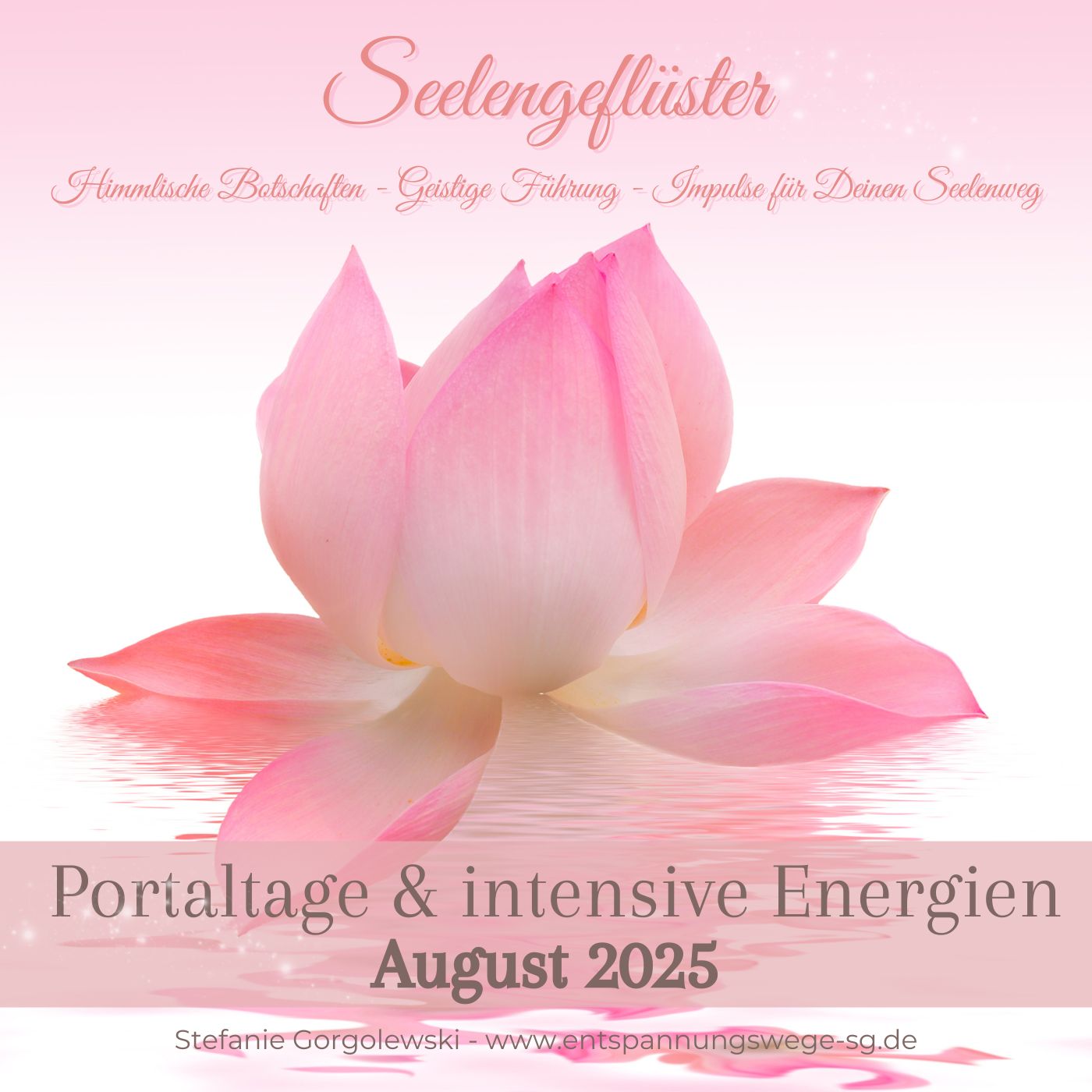 Energien & Portaltage August 2025