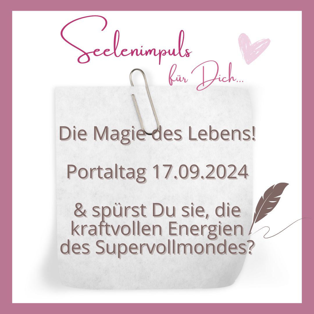 Portaltag 17.09.2024