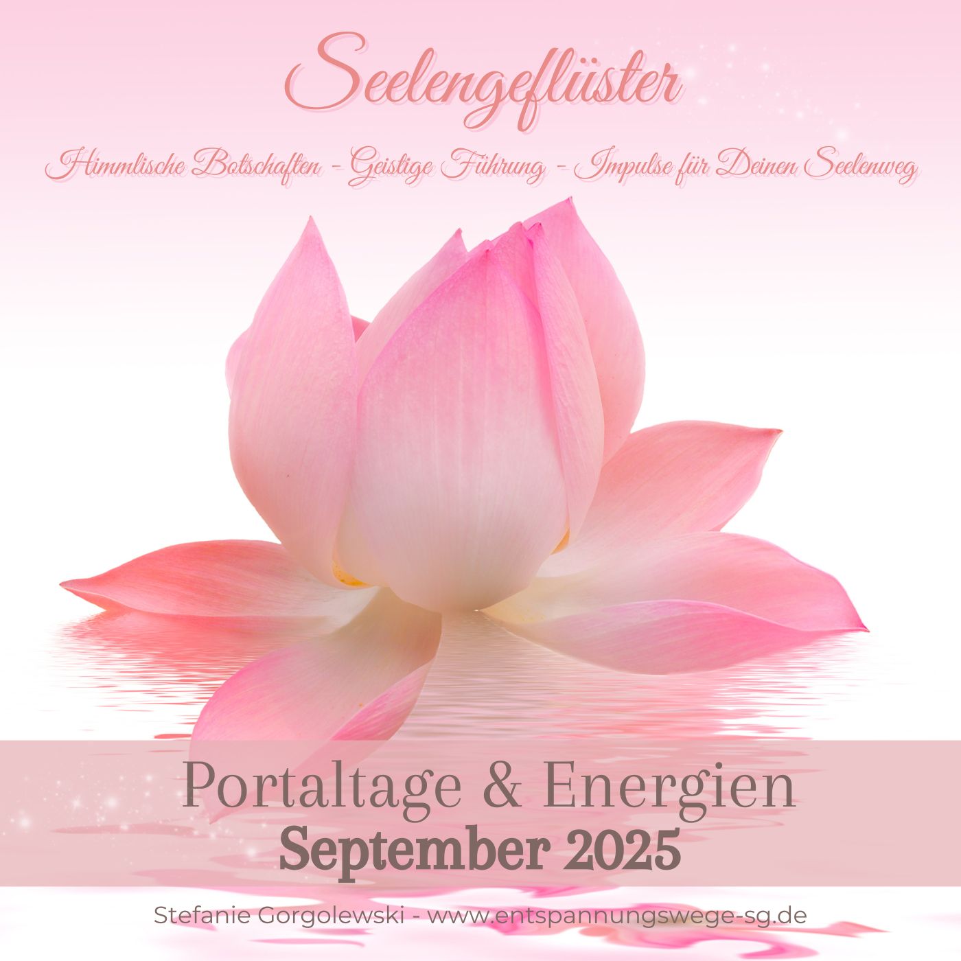 Energien & Portaltage September 2025