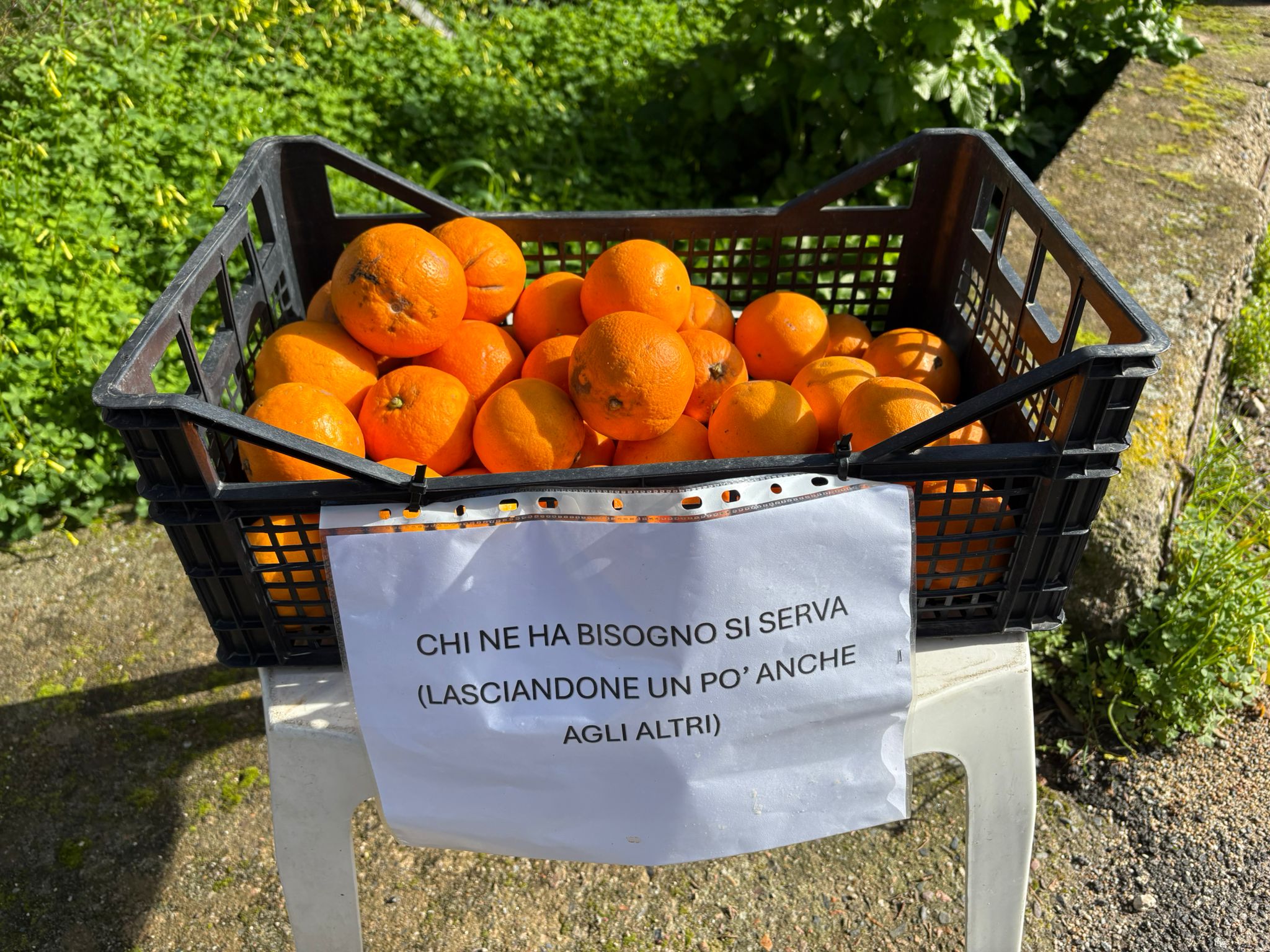 Schade, wir kehren um und fahren ins Dorf zurück. Unterwegs bedienen wir uns aus dieser Kiste. Eine sehr freundliche Geste der …