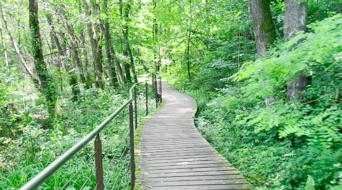 Am anderen Ende des Sees führt ein Steg durch ein kleines Naturschutzgebiet.