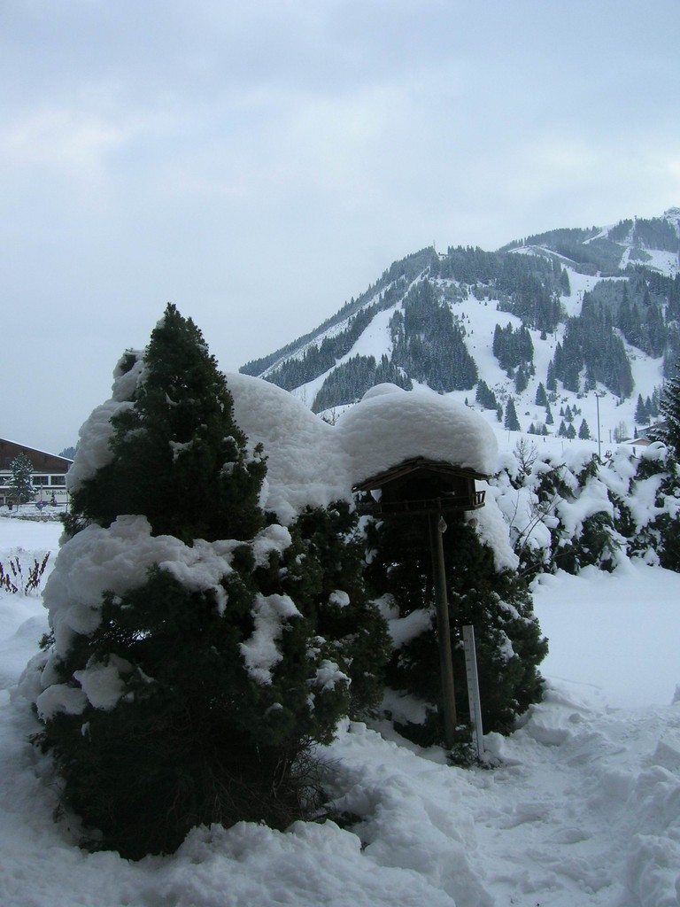 Winter im Tannheimer Tal