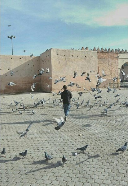 Les remparts de la médina
