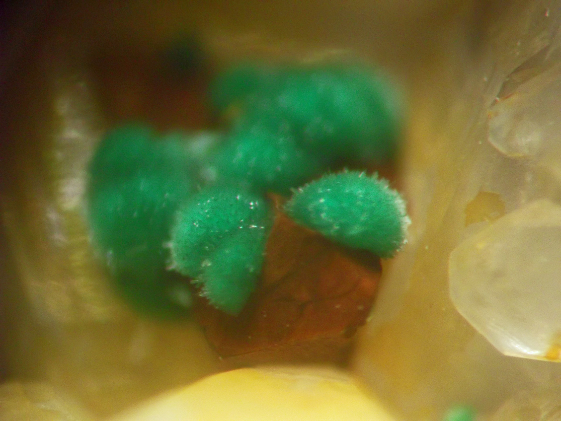 kleine Malachitigel auf limonisierten Chalkopyritkristall BB ca. 3 mm