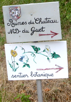 sentier botanique de Mirebel Jura 1er plateau sorties nature PHM patrimoine historique et naturel