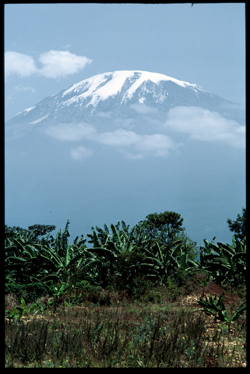 Blick auf den Kilimanjaro von Moshi