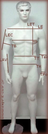 Fiche-mesure