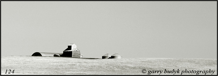 Summer Prairiescape, Holland, Manitoba