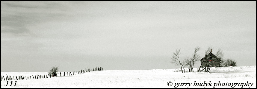 Winter Prairiescape, Brightstone, Manitoba