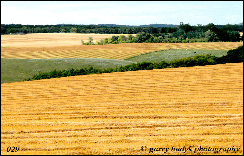 /Prairie Scenes/ imagesofmanitoba