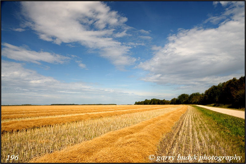 Carrot Valley,  The Pas, Manitoba