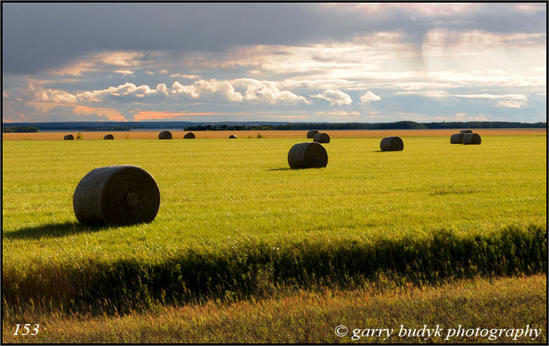/Prairie Scenes/ imagesofmanitoba
