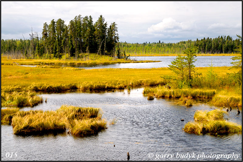 Boreal Lake,  Duck Mountain Provincial Park,  Manitoba