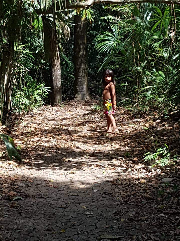 Sendero el Cuipo 