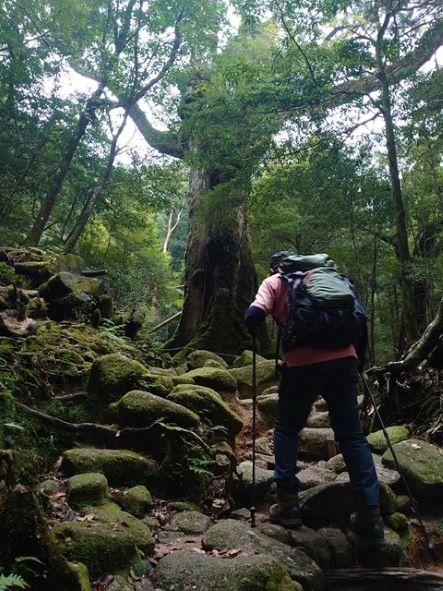 SDGsの推進が持続可能性の担保であるなら、その難しさ