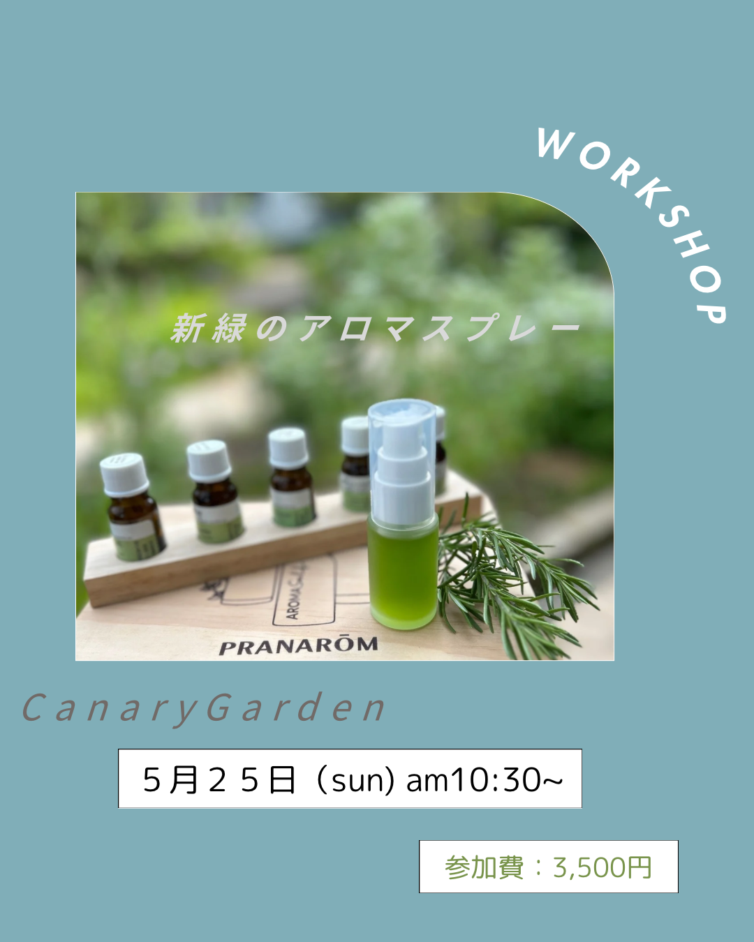 5月のワークショップ