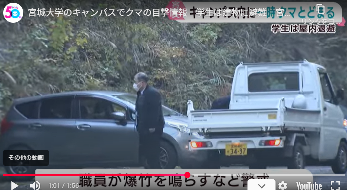 大学に熊がとどまる