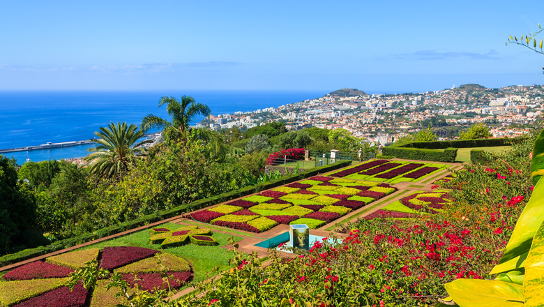 Kanarische Inseln & Madeira