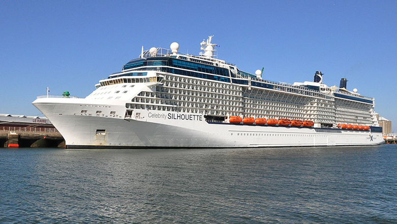 Celebrity Silhouette