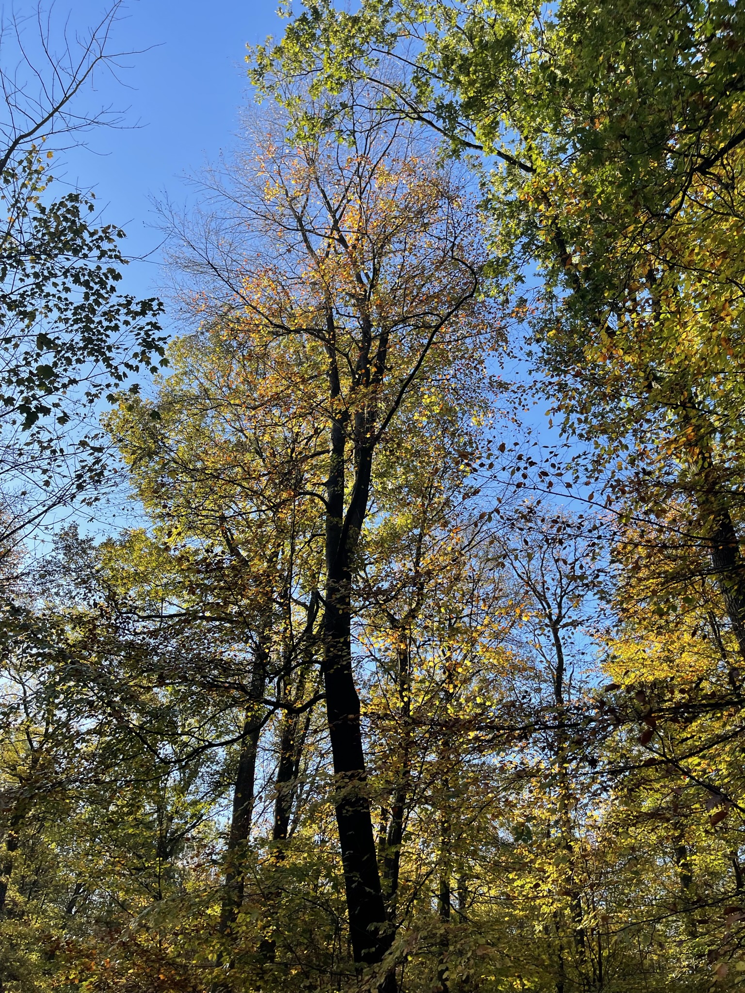 Was für ein tolles November Wetter! Wie schön, das ihr dabei wart. 