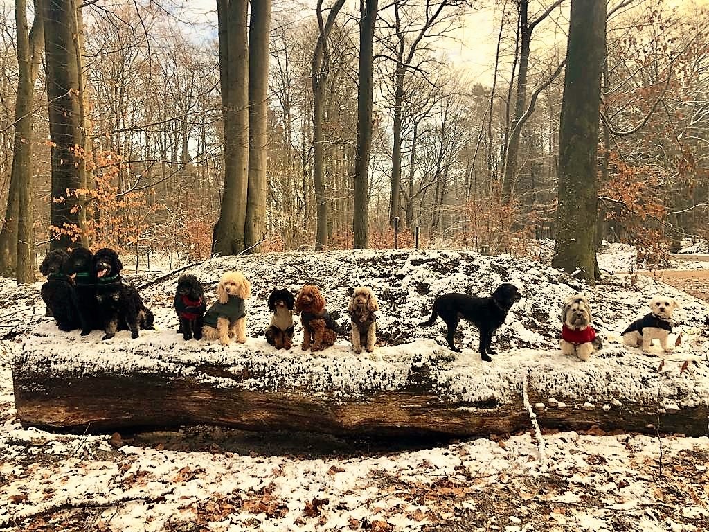 Abenteuerspaziergang im Jan 