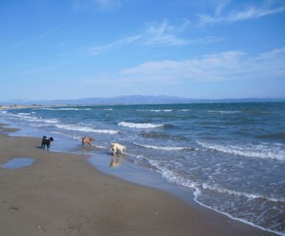 July 2011