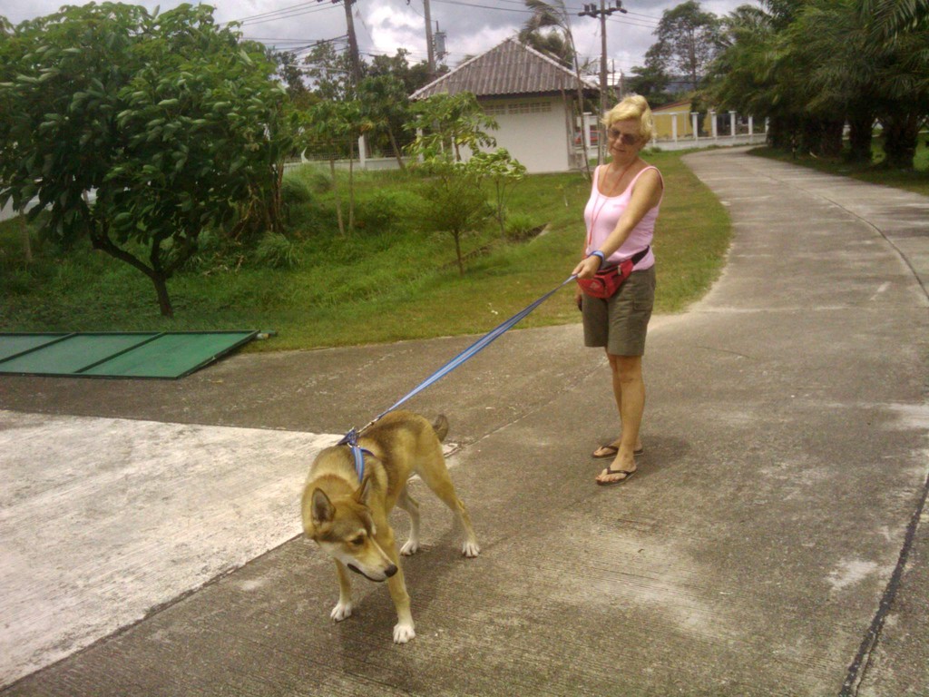 Training phuketdogresortandspa