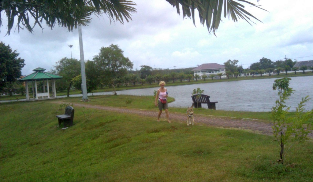 Training phuketdogresortandspa