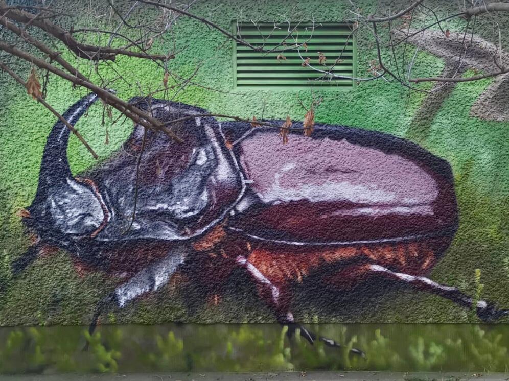 Fotorealistisches Graffiti-Mural auf einem Trafohaus, das einen überlebensgroßen Hirschkäfer, einen Pilz und eine Schnecke auf grünem Moosgrund zeigt. Professionelle Fassadengestaltung von Appolloart, die Naturmotive in den urbanen Raum bringt und in ganz