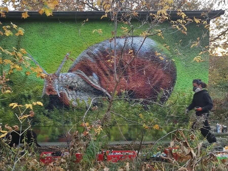 Fotorealistisches Graffiti-Mural auf einem Trafohaus, das einen überlebensgroßen Hirschkäfer, einen Pilz und eine Schnecke auf grünem Moosgrund zeigt. Professionelle Fassadengestaltung von Appolloart, die das Gebäude harmonisch in die herbstliche Umgebung