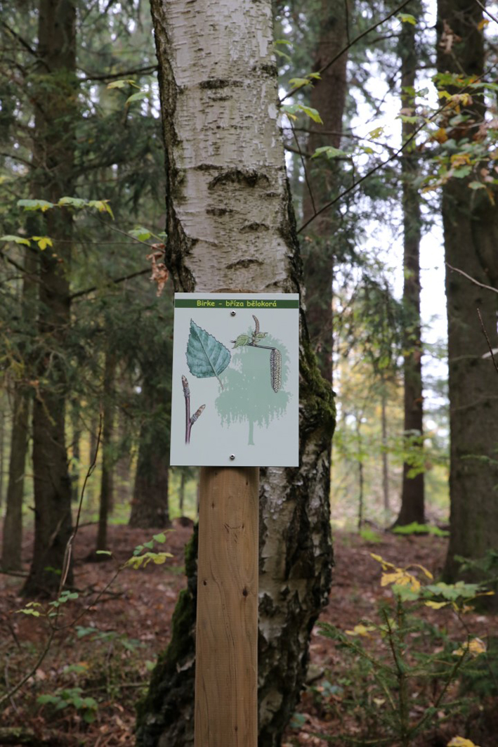 Furth i. Wald - Walderlebnispfad Voithenberg