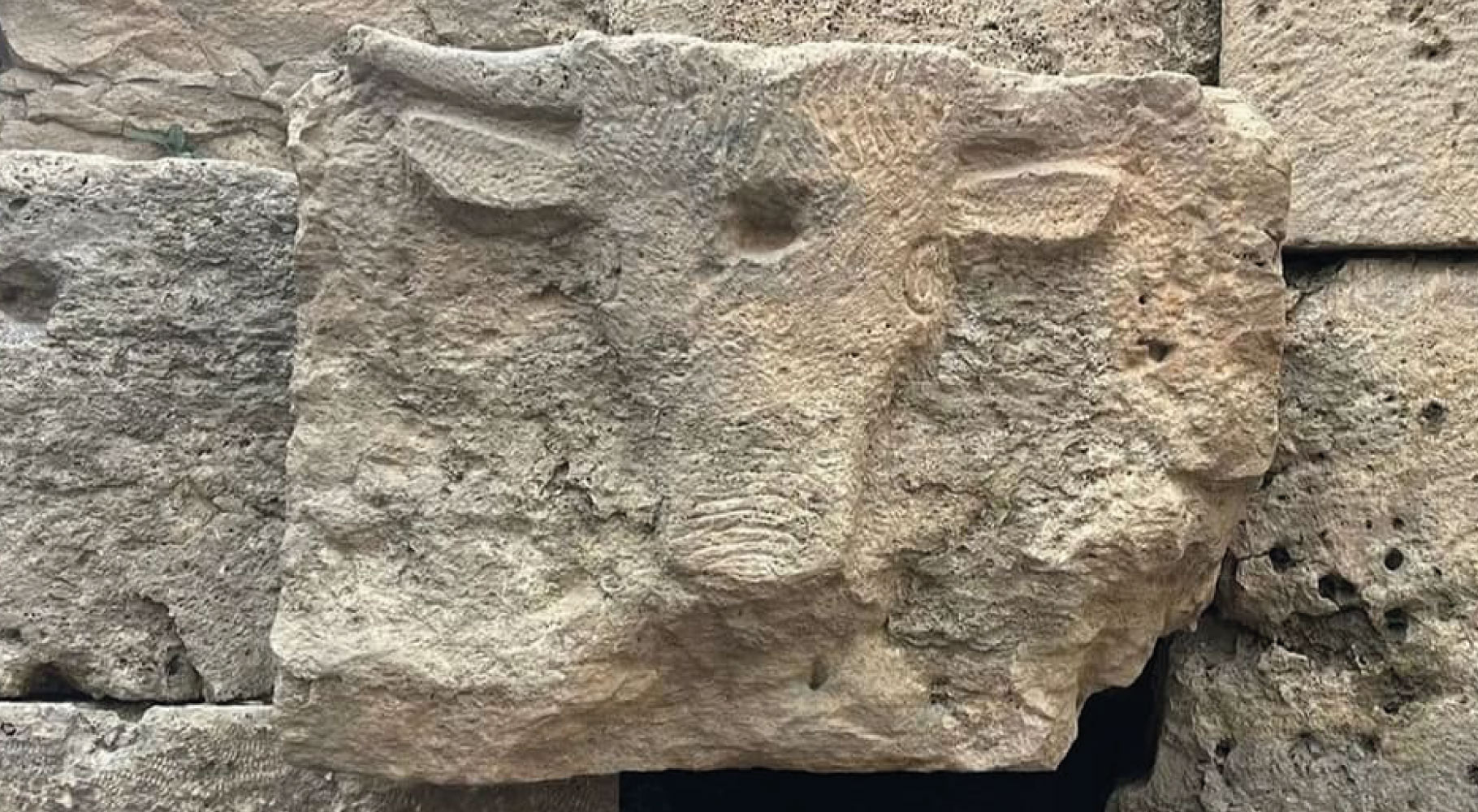 L'ARCHEOLOGIA SPIEGATA AI BAMBINI- REPERTI CHE PARLANO: IL TORO IN UNA VASCA