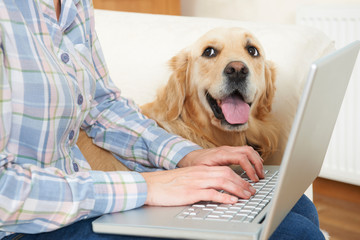 LAID BACK DOGS COMPANY　レイドバックドッグスカンパニー　犬の行動心理カウンセリング　お問い合わせ