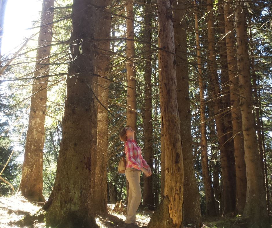 Rebecca in a ring of trees.
