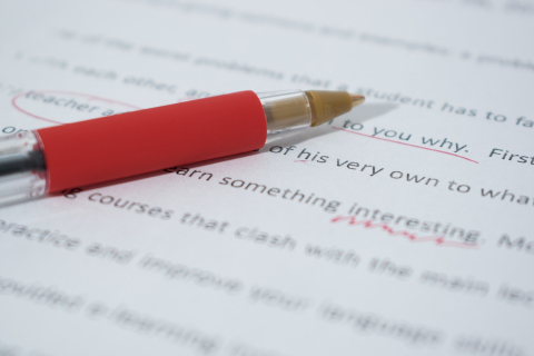 Symbolbild Übersetzungslektorat Deutsch, Englisch, Französisch, Dänisch in Leipzig: Fehler in einem Dokument sind mit einem roten Stift markiert.