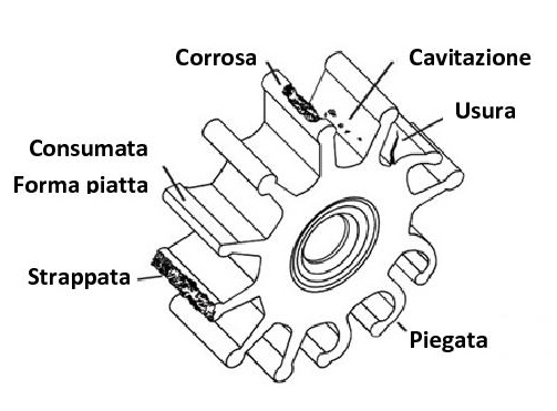 Pompe Acqua Mare - Revisione (Attilio Origo)