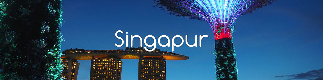 Radreise durch Singapure - Alles in 12 Taschen